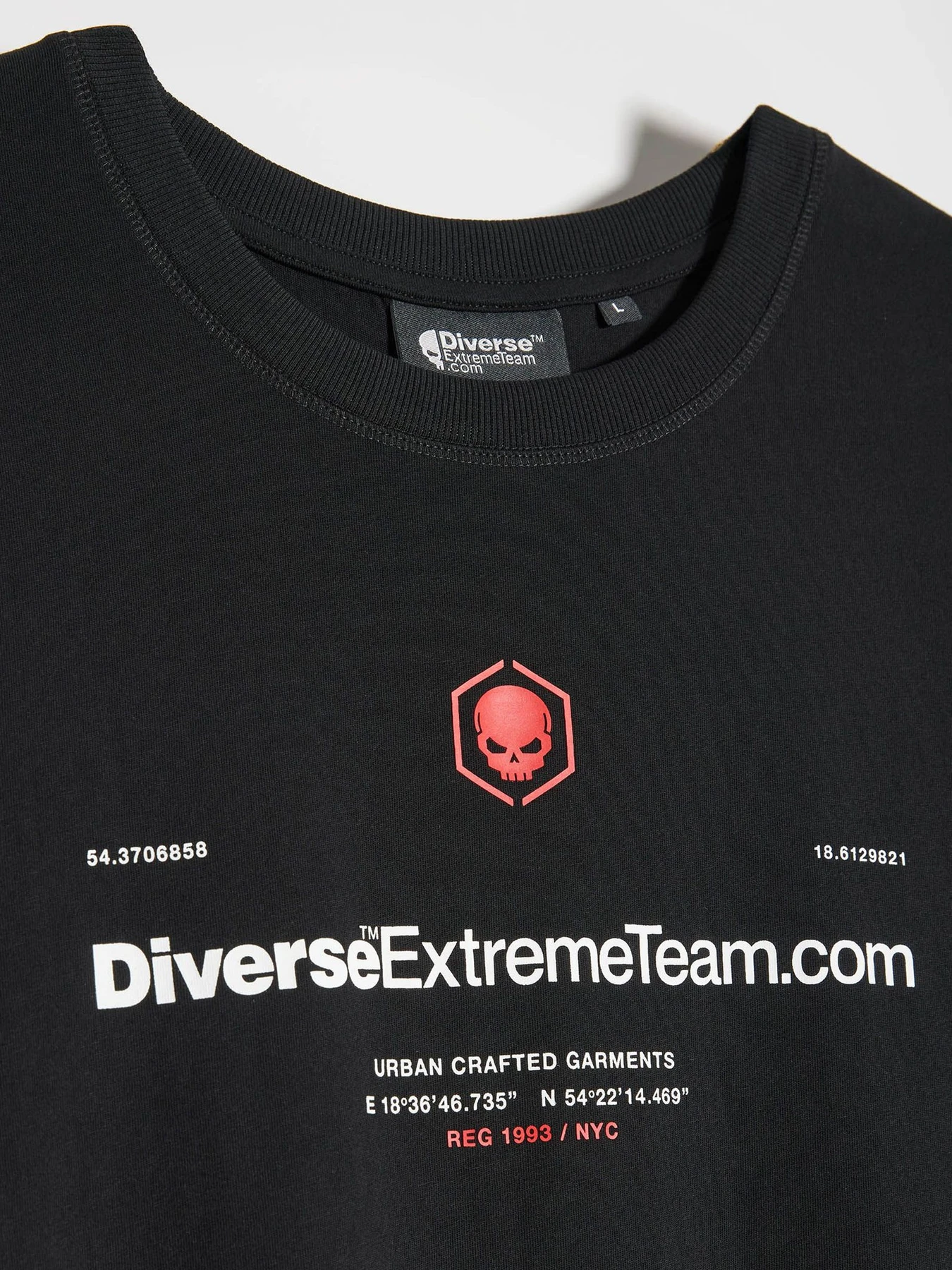Футболки и поло DIVERSE Dext Logo 02 модель 10047760 Фото