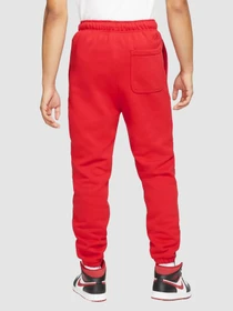 Штани Jordan M J Ess Flc Pant модель DA9820-687 Фото