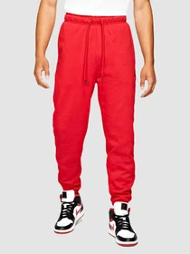 Брюки Jordan M J Ess Flc Pant модель DA9820-687 Фото