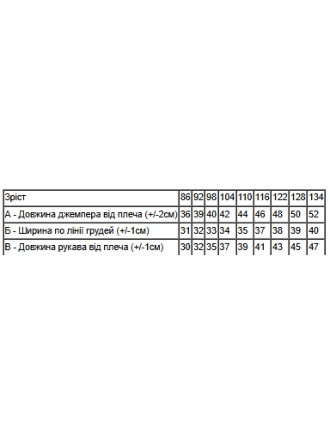 Худі та світшоти Носи своє модель 6071-035-4-elektrik-m-qch Фото