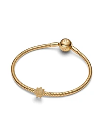 Класичні PANDORA модель 764052C00 Фото