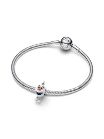 Классические PANDORA модель 793978C01 Фото