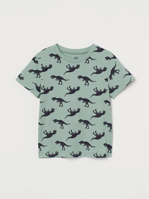 Футболки и поло H&M модель 7180764kwer_Зеленый Фото