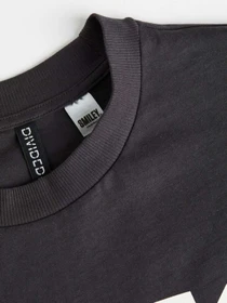 Футболки и поло H&M модель 1129527wer_Графитовый Фото