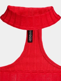 Худи и свитшоты H&M модель 4231074RP2_Красный Фото