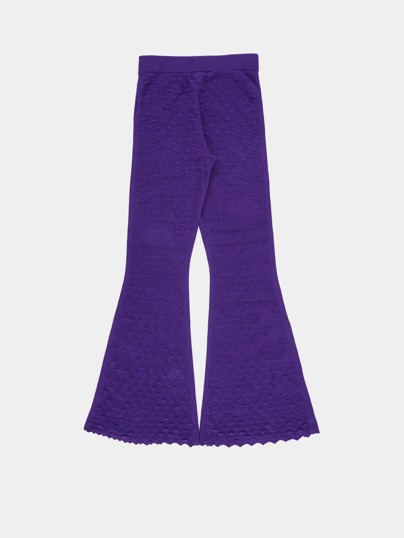 Брюки H&M модель 11006546arl_Темно-фиолетовый Фото