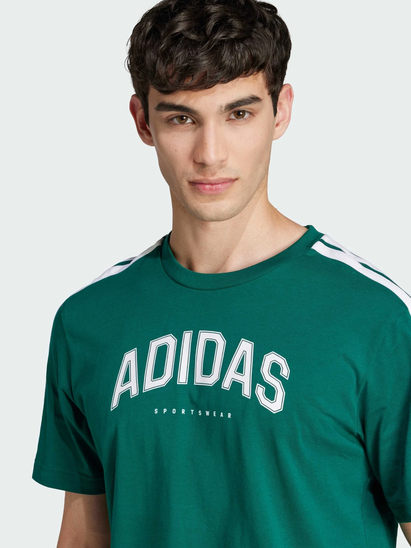 Футболки і поло Adidas модель JJ3869 Футболки і поло Adidas модель JJ3869 Фото