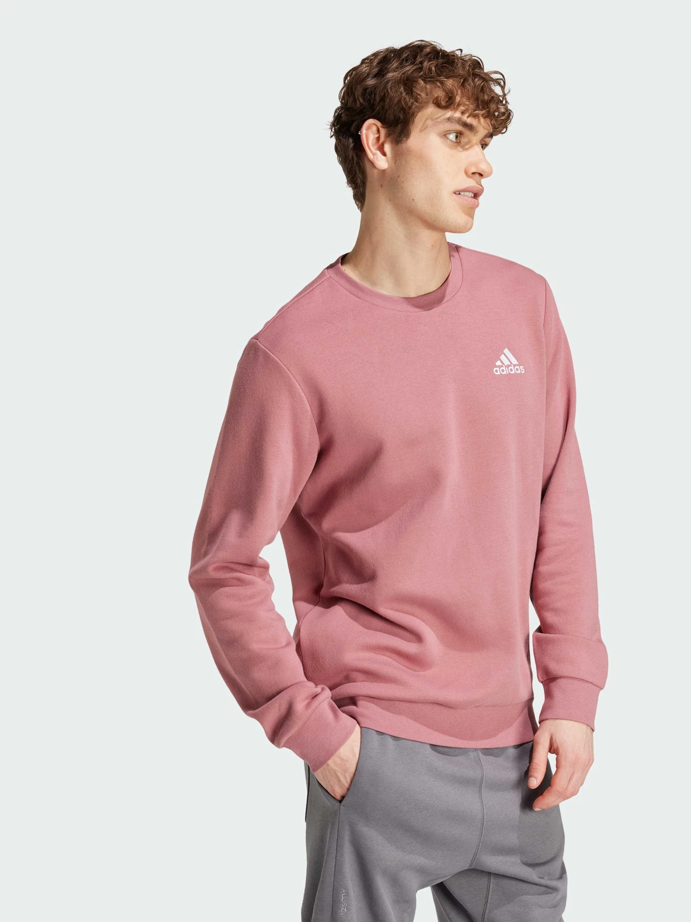 Худи и свитшоты Adidas модель IY9080 Худи и свитшоты Adidas модель IY9080 Фото