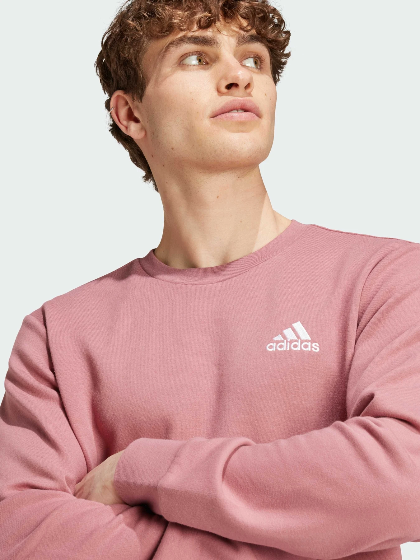 Худи и свитшоты Adidas модель IY9080 Худи и свитшоты Adidas модель IY9080 Фото