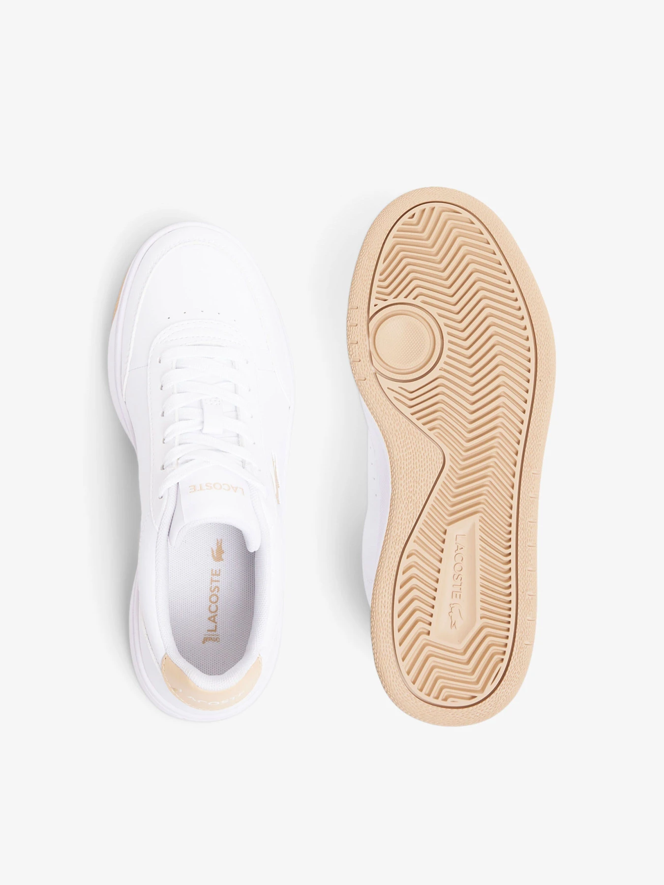 Кроссовки Lacoste модель 750SFA007083J Кроссовки Lacoste модель 750SFA007083J Фото
