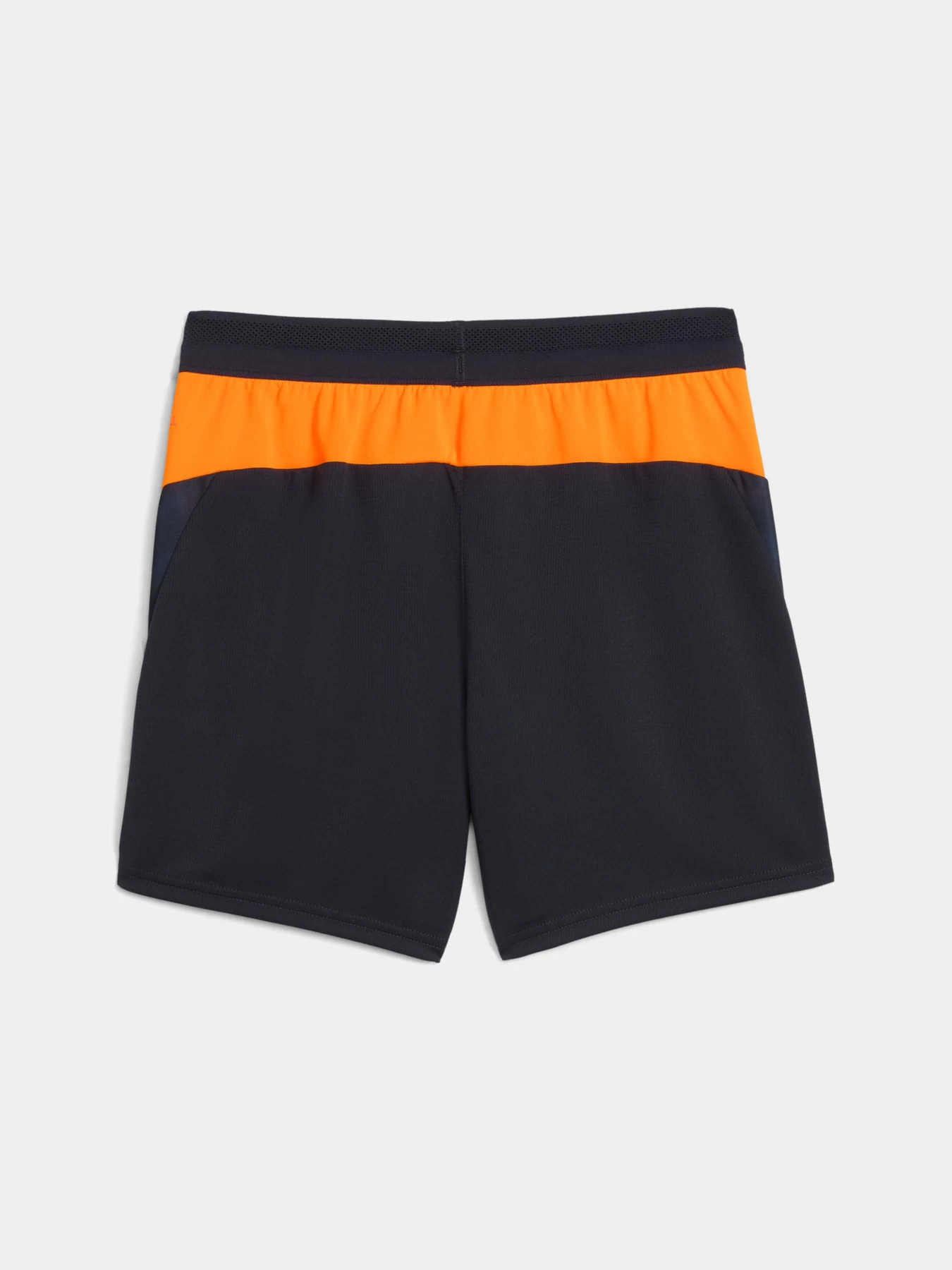 Шорты PUMA Individualcup Trg Shorts Jr модель 660249 Фото
