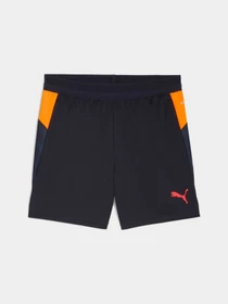 Шорты PUMA Individualcup Trg Shorts Jr модель 660249 Фото