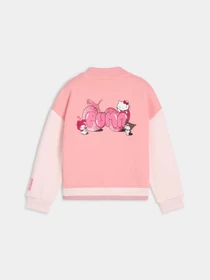 Худи и свитшоты PUMA x Hk&fr Bomber Jacket модель 632394 Фото