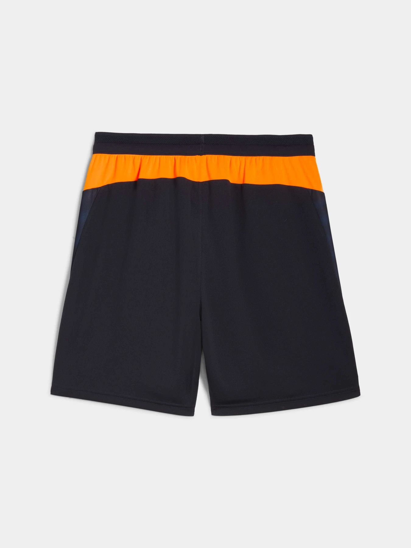 Шорты PUMA Individualcup Trg Shorts модель 660248 Шорты PUMA Individualcup Trg Shorts модель 660248 Фото