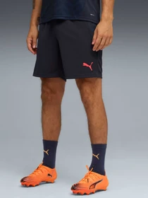 Шорты PUMA Individualcup Trg Shorts модель 660248 Фото