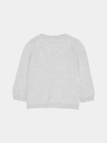 Худі та світшоти H&M модель 8146095kwer_Светло-серый Фото