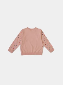 Худі та світшоти H&M модель 5263981kwer_Светло-розовый Фото