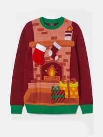 Худі та світшоти H&M модель 8813454wer_Бордовый Фото