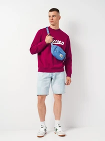 Худі та світшоти H&M модель 5849536ral_Пурпурный Фото