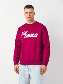 Худі та світшоти H&M модель 5849536ral_Пурпурный Фото