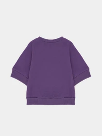 Худі та світшоти H&M модель 1088057arl_Фиолетовый Фото