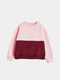 Худи и свитшоты H&M модель 10770376kwer_Бордово-розовый Фото