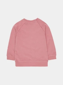 Худи и свитшоты H&M модель 10002774kwer_Розовый Фото