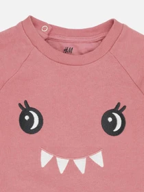 Худи и свитшоты H&M модель 10002774kwer_Розовый Фото