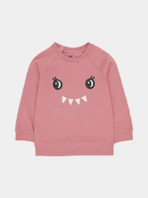 Худи и свитшоты H&M модель 10002774kwer_Розовый Фото