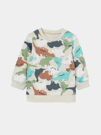 Худи и свитшоты H&M модель 1412103kwer_Комбинированный Фото