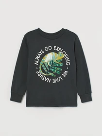 Худі та світшоти H&M модель 9536543kwer_Темно-серый Фото
