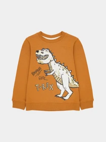 Худі та світшоти H&M модель 9710834ral_Коричневый Фото