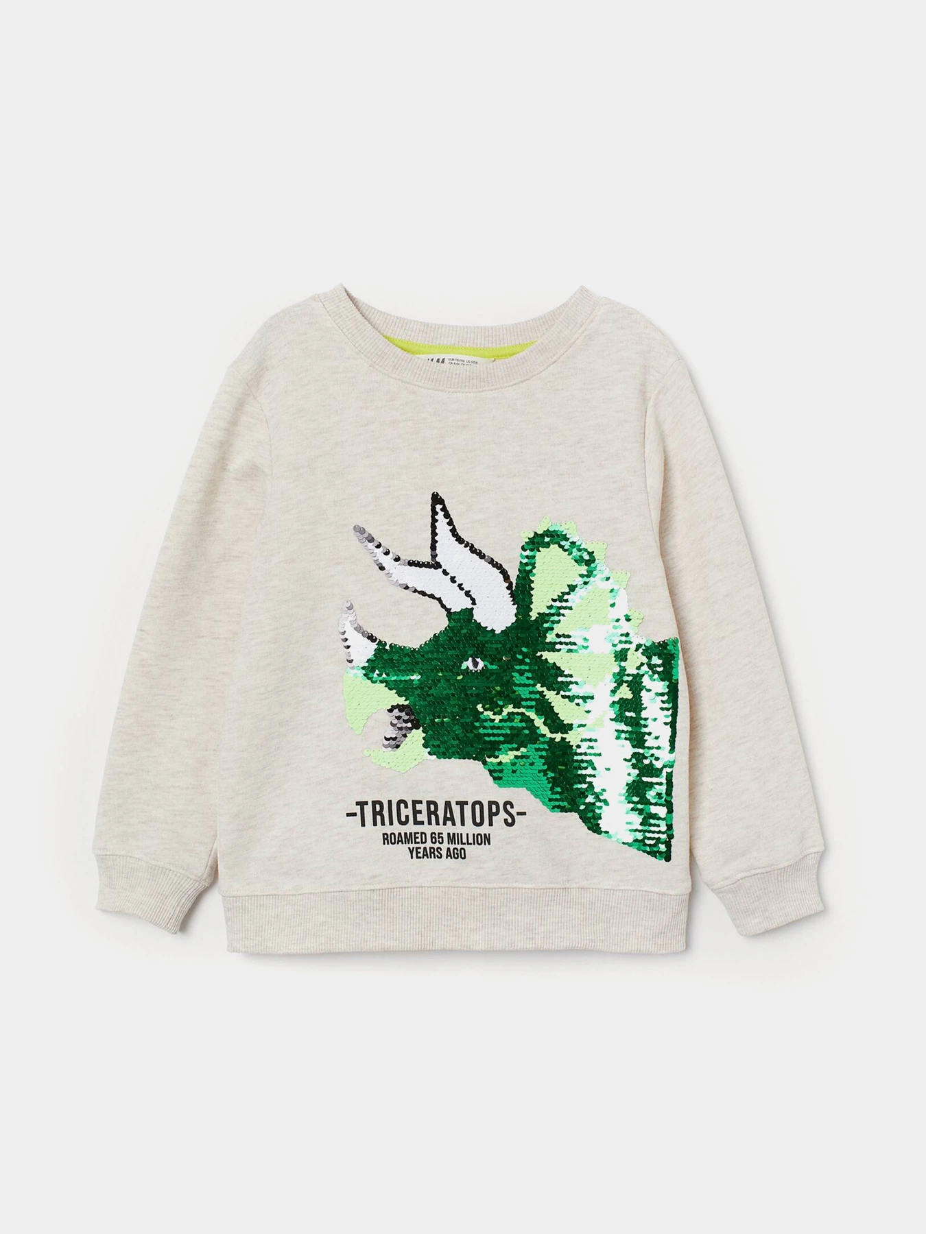 Худи и свитшоты H&M модель 9335943kwer_Светло-бежевый Фото