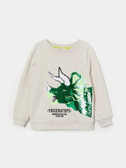 Худі та світшоти H&M модель 9335943kwer_Светло-бежевый Фото