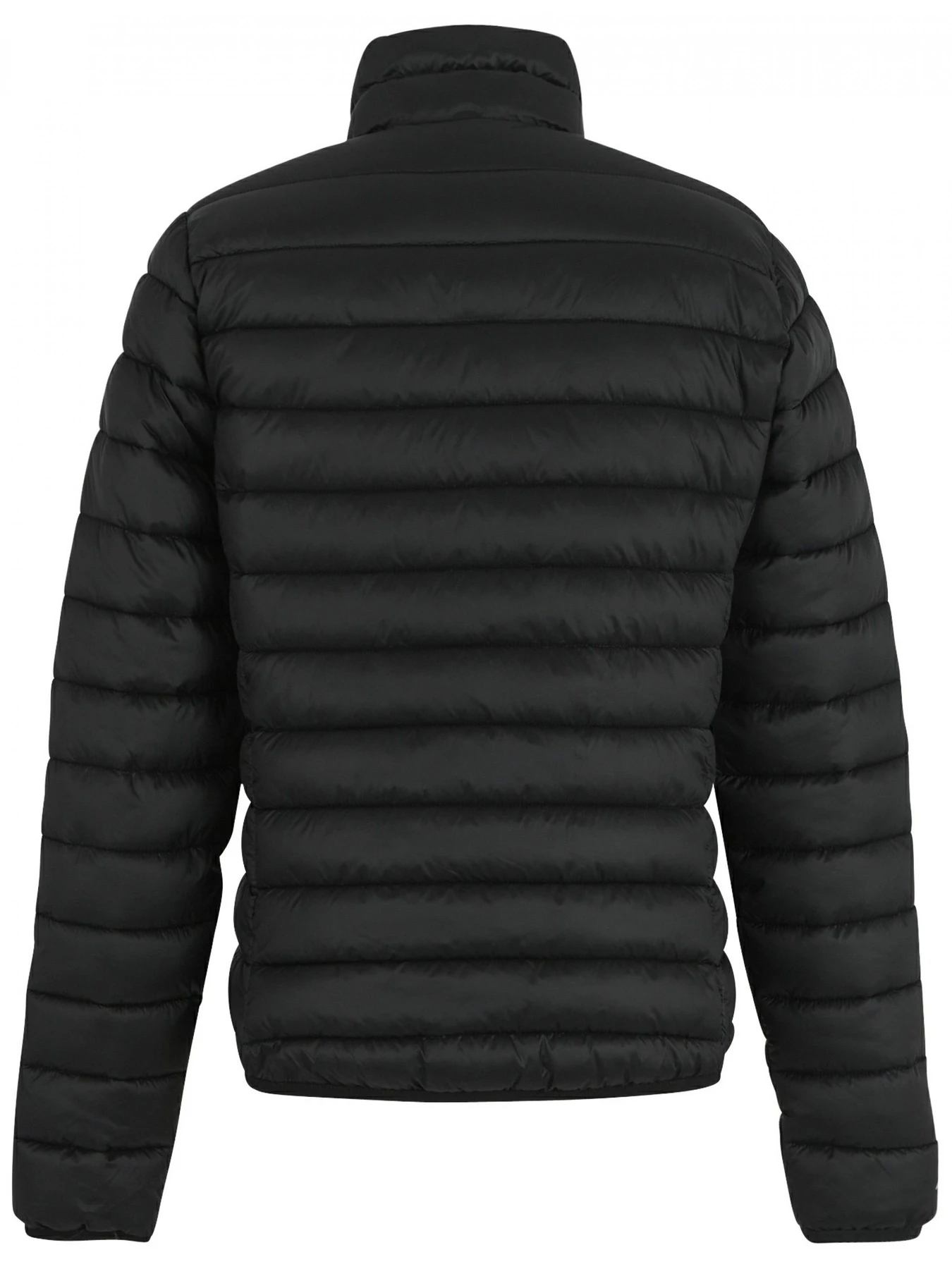 Куртки и дубленки Regatta Women'smarizion модель RWN306-800 Куртки и дубленки Regatta Women'smarizion модель RWN306-800 Фото