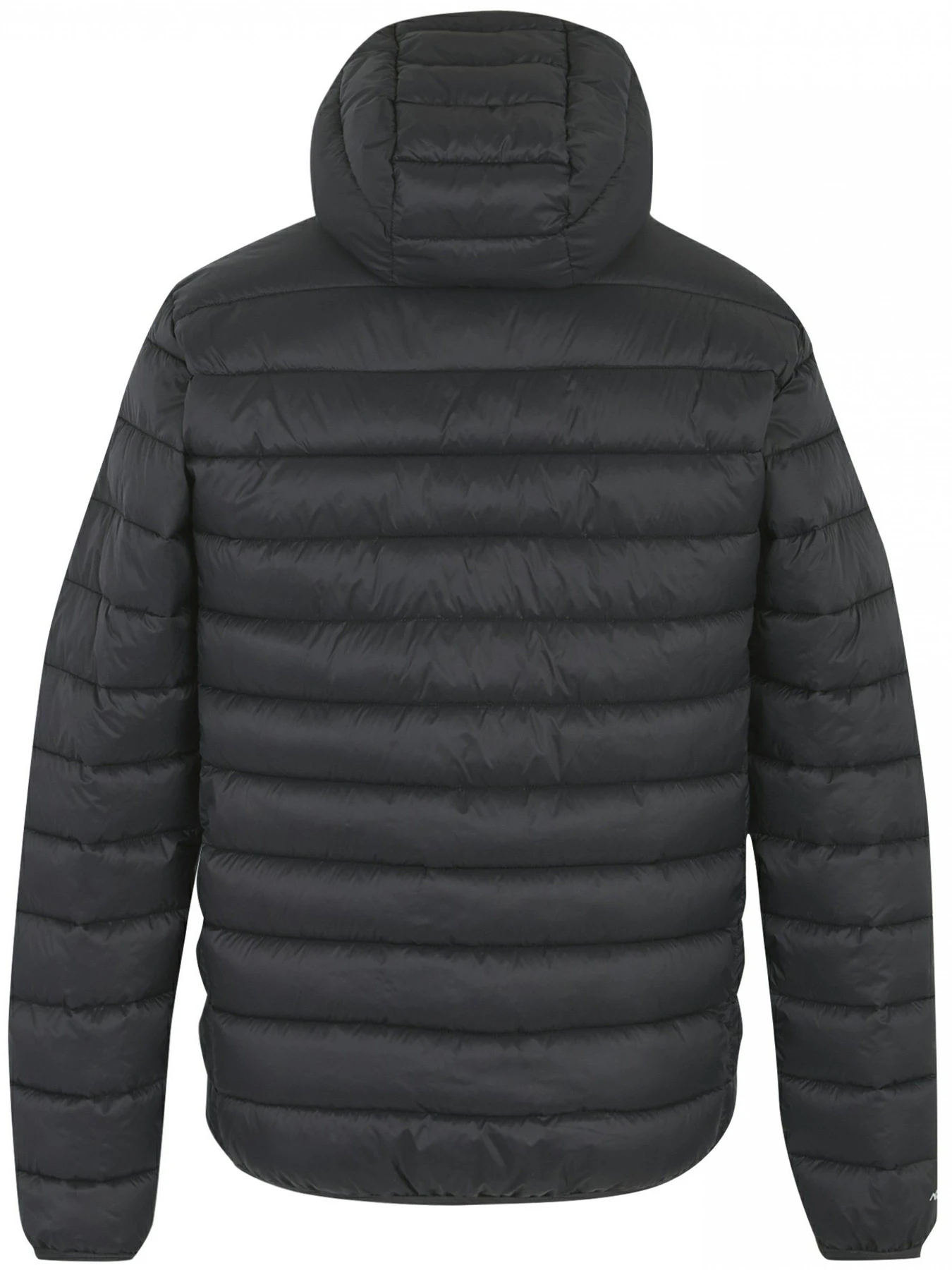 Куртки и дубленки Regatta Hoodedmarizion модель RMN223-ZL2 Куртки и дубленки Regatta Hoodedmarizion модель RMN223-ZL2 Фото