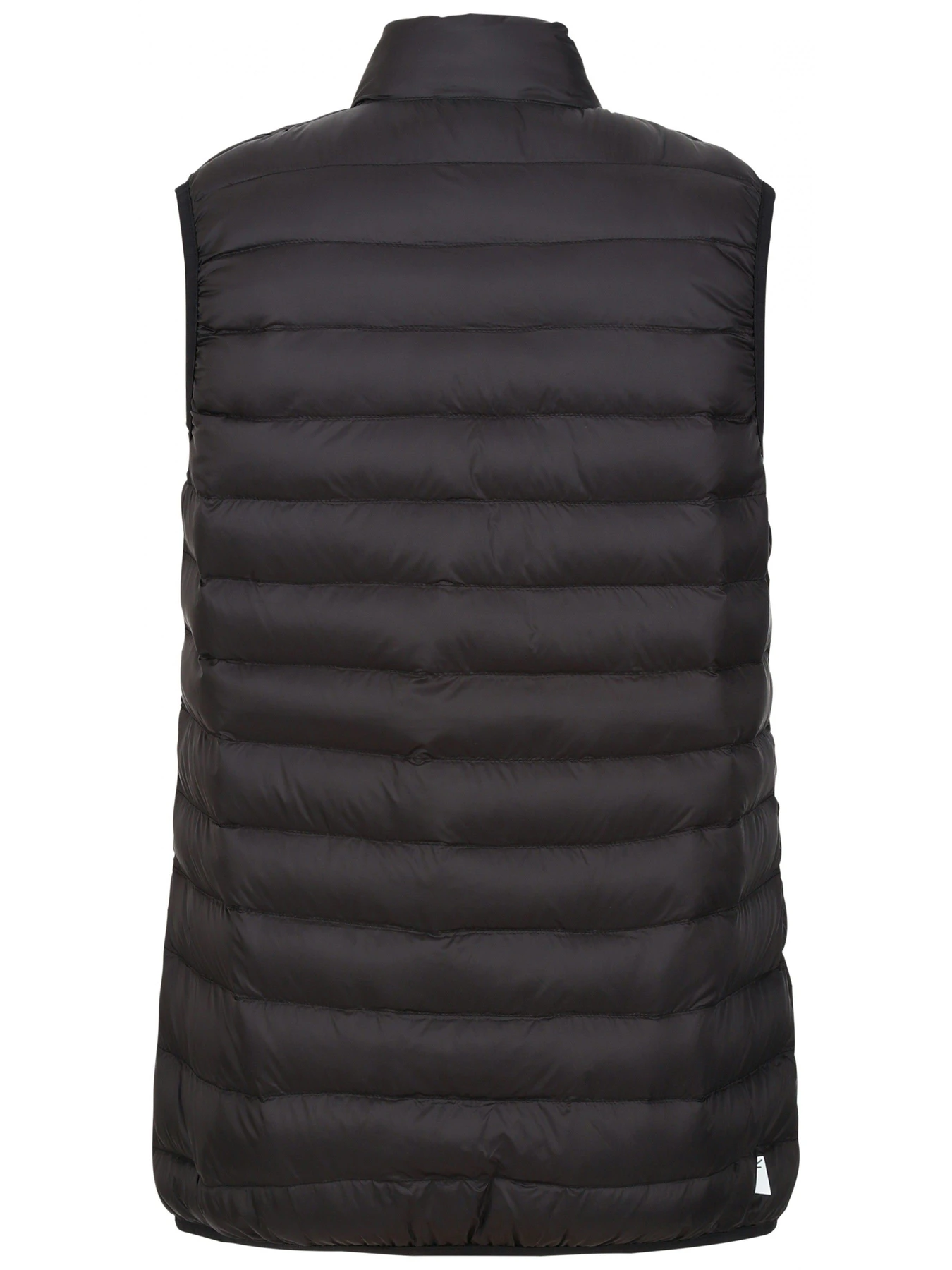 Куртки та дублянки Regatta Wmnmarizionbw модель RWB129-808 Куртки та дублянки Regatta Wmnmarizionbw модель RWB129-808 Фото