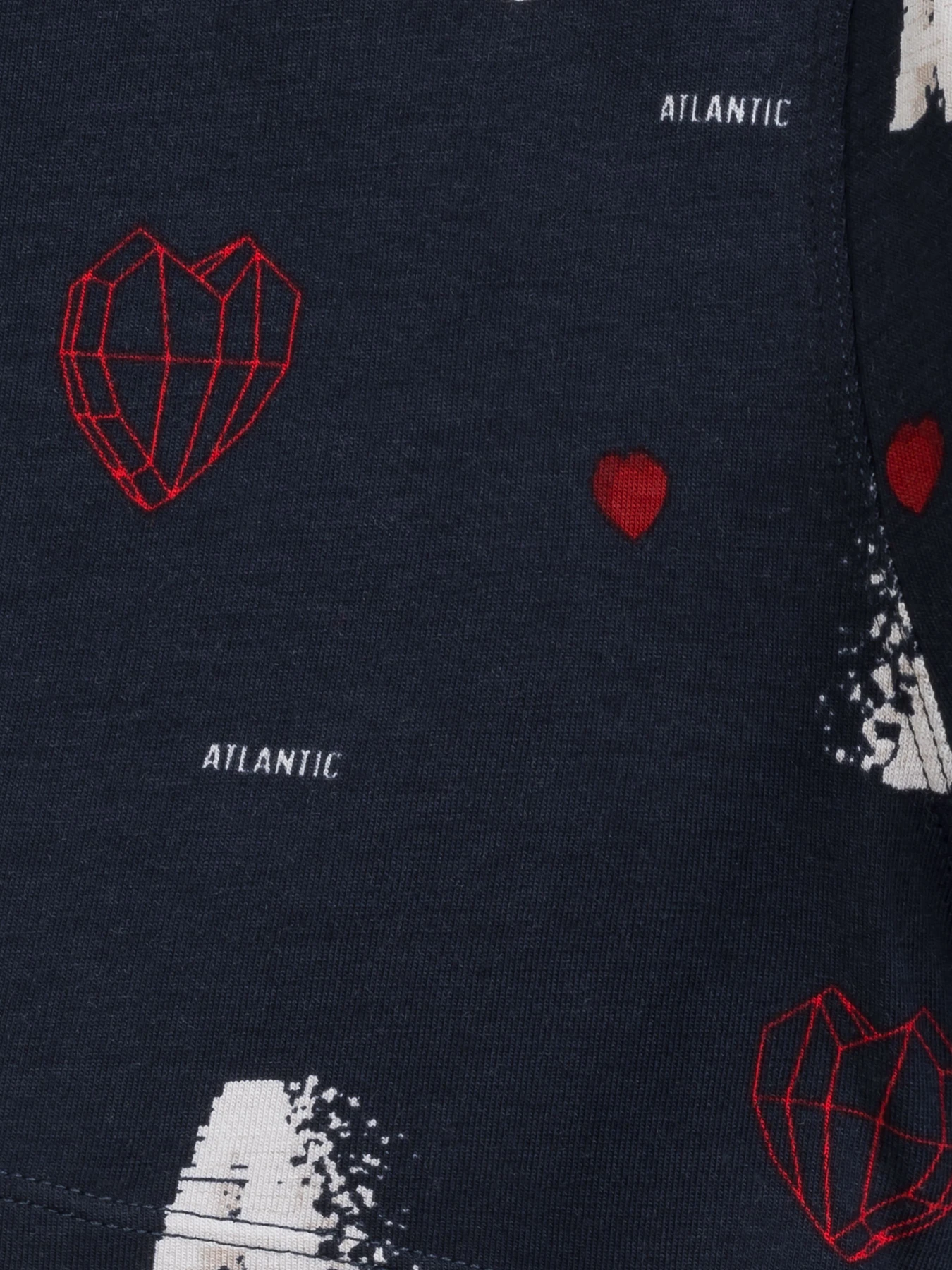 Нижня білизна Atlantic модель 2GMH-029 Нижня білизна Atlantic модель 2GMH-029 Фото