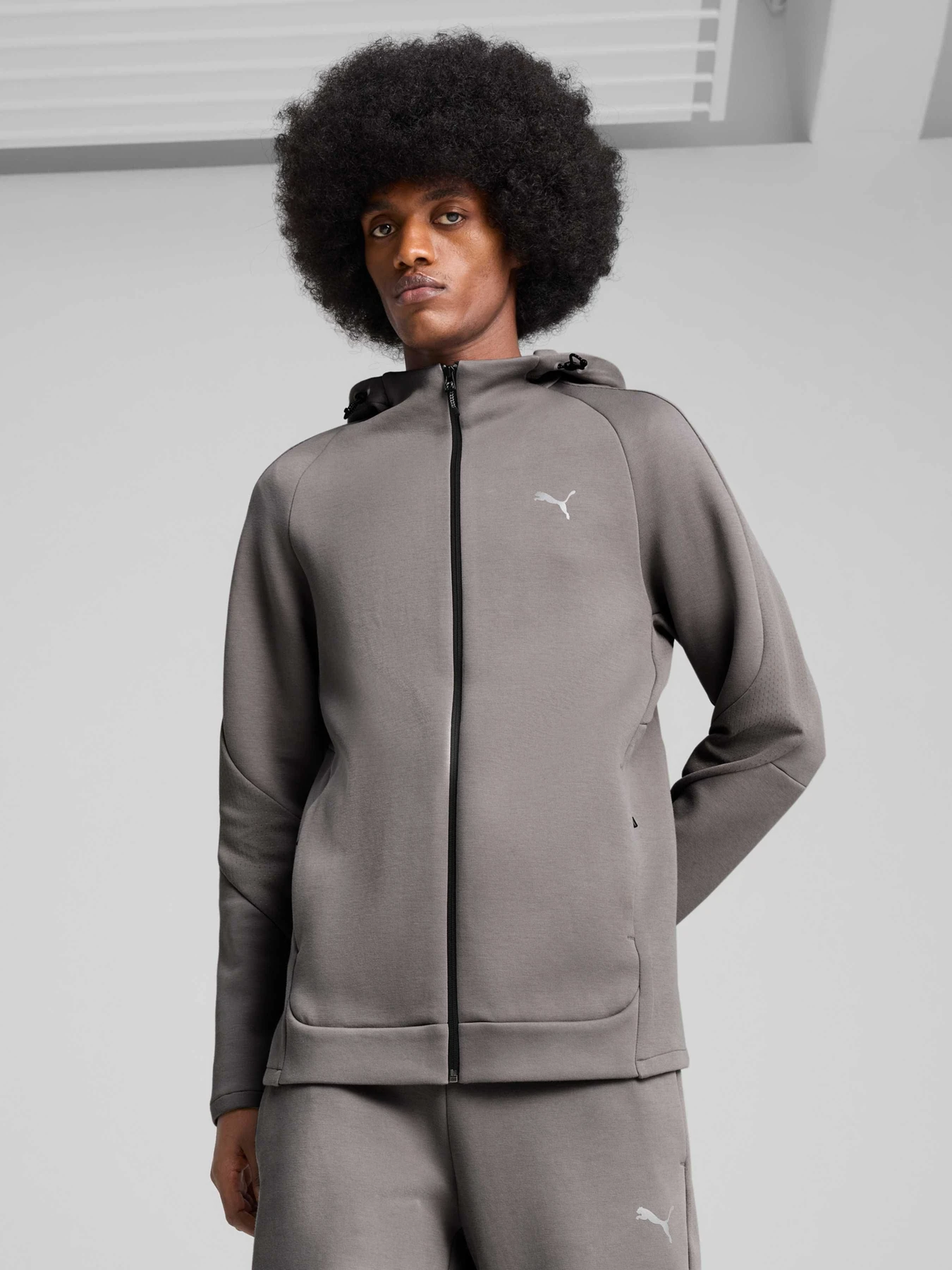 Куртки и дубленки PUMA Evostripe Full-zip Hoodie модель 684613 Куртки и дубленки PUMA Evostripe Full-zip Hoodie модель 684613 Фото