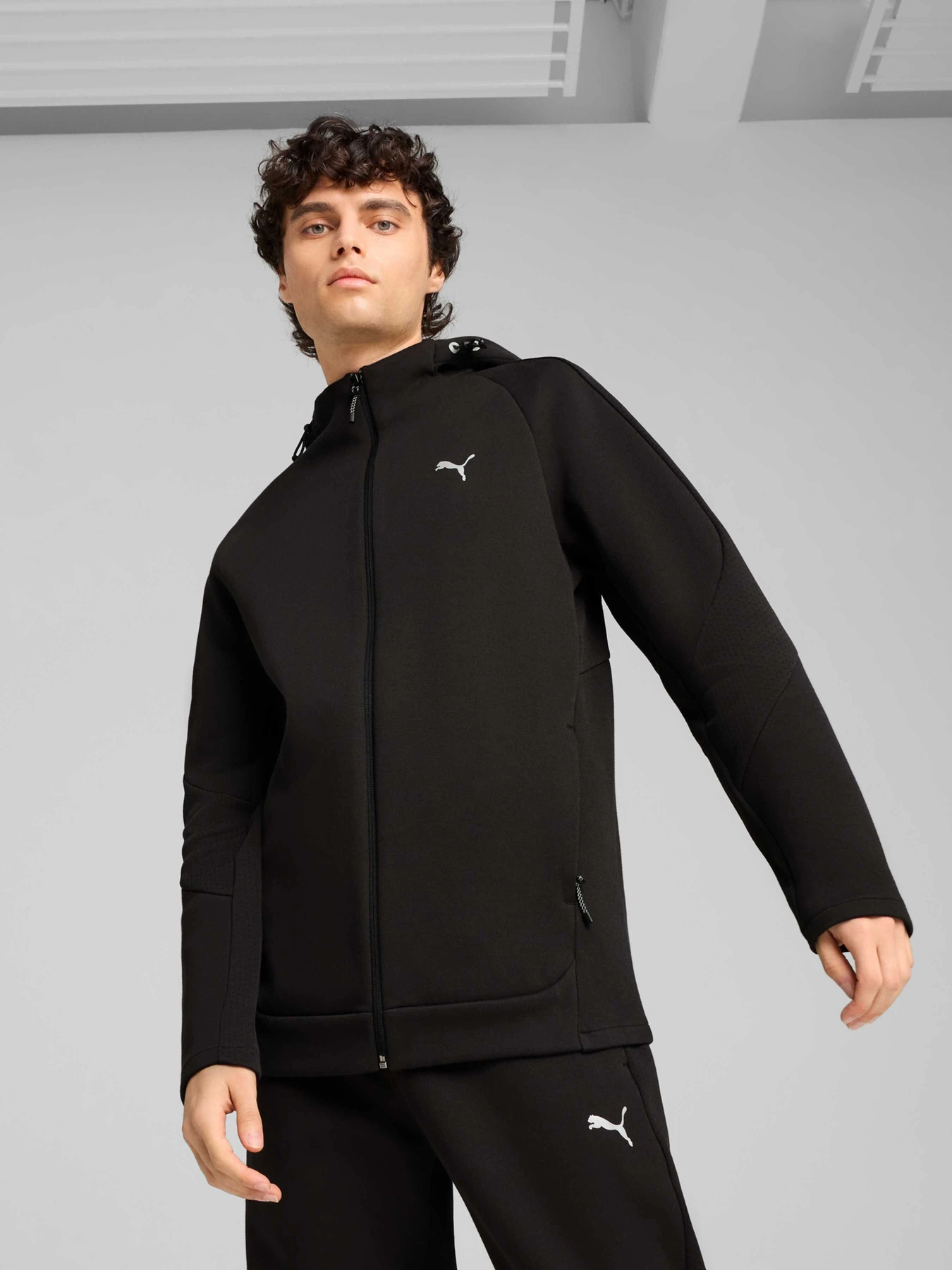 Куртки и дубленки PUMA Evostripe Full-zip Hoodie модель 684613 Куртки и дубленки PUMA Evostripe Full-zip Hoodie модель 684613 Фото