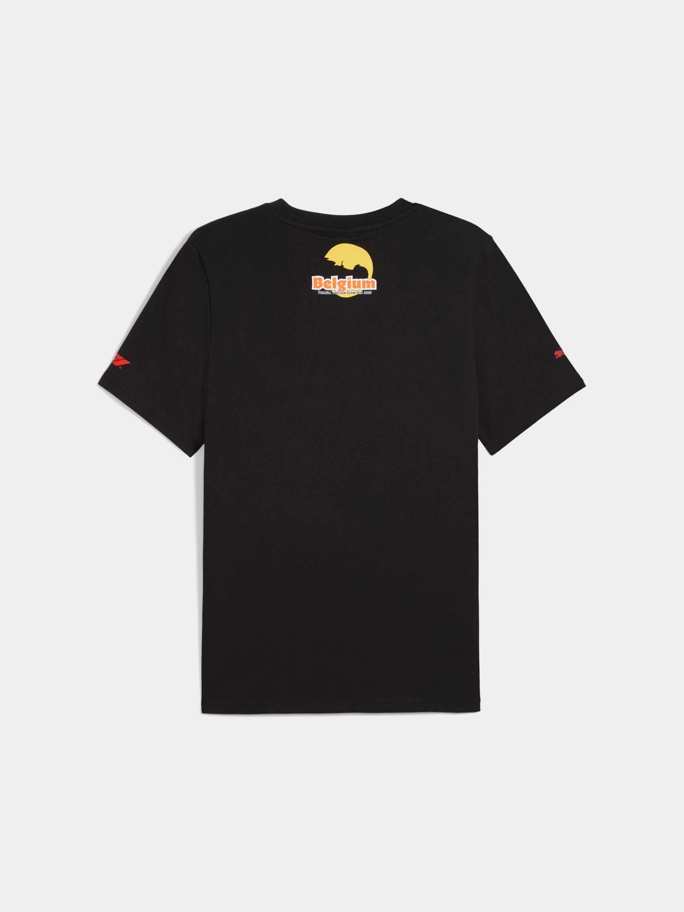 Футболки і поло PUMA F1 Belgium Tee модель 630230 Фото
