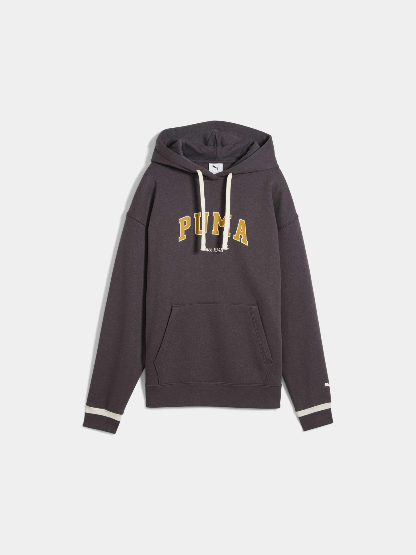 Худи и свитшоты PUMA Varsity Hoodie Fl W модель 692674 Худи и свитшоты PUMA Varsity Hoodie Fl W модель 692674 Фото