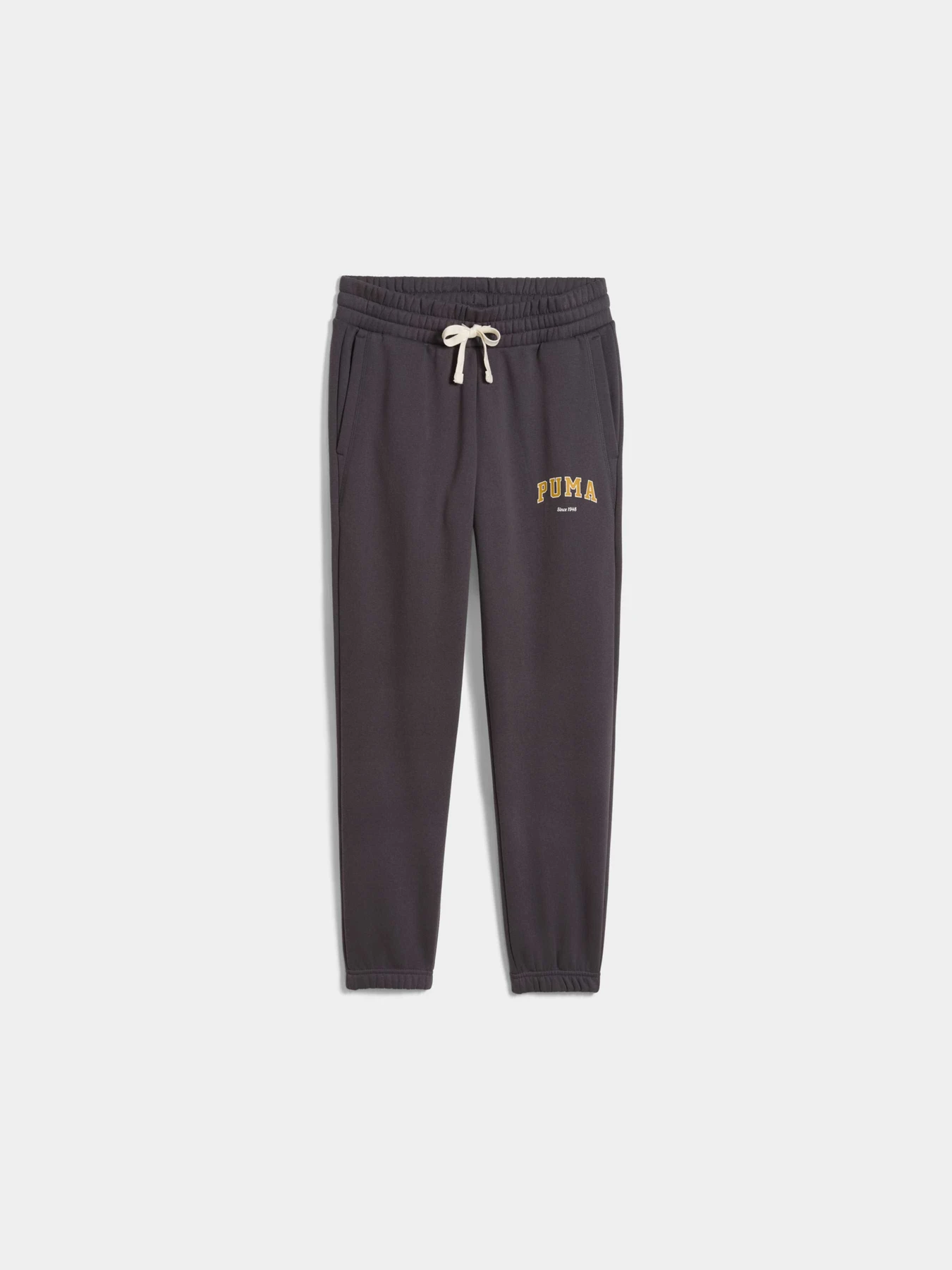 Штани PUMA Varsity Sweatpants Fl W модель 692668 Фото