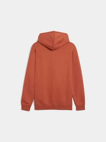 Худи и свитшоты PUMA Ess Small Logo Hoodie Fl модель 686771 Фото