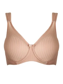 Нижнее белье BERLEI Beauty Stripe Минимайзер модель 541BSH Фото