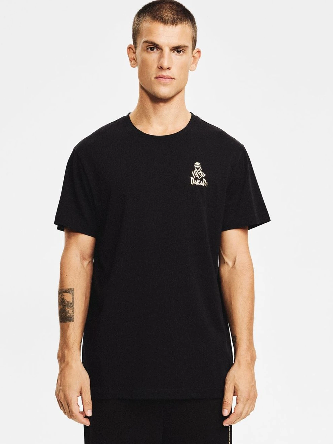 Футболки і поло DIVERSE Dkr Vip T 01 модель 10048110 Футболки і поло DIVERSE Dkr Vip T 01 модель 10048110 Фото