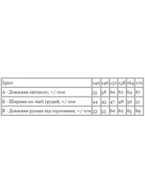Худі та світшоти Носи своє модель 6393-025-33-1-1-chornij Фото