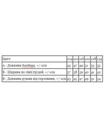 Худи и свитшоты Носи своє модель 6404-025-33-5-fuksq Фото
