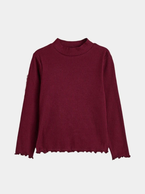 Худі та світшоти H&M модель 3957306kwer_Бордовый Фото