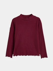 Худі та світшоти H&M модель 3957306kwer_Бордовый Фото